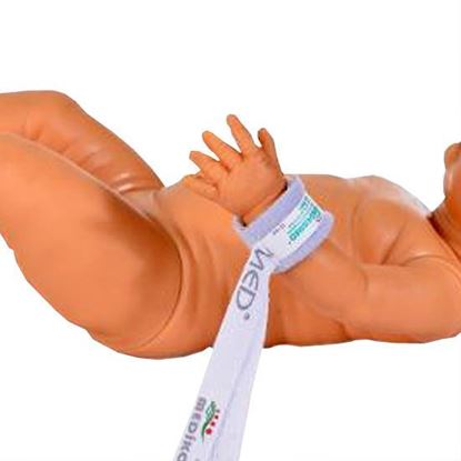 Picture of Limb Holders (Baby)