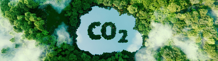 Carbon Reduction Plan